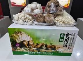 有机食用菌鲜品